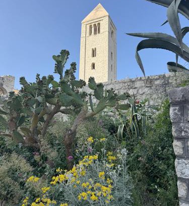 Rab House | Studio Appartment & Rooms Old Town