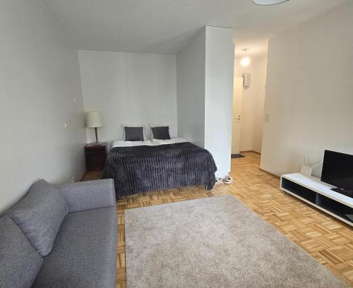 Savonlinna Apartment | Studio at Tottinkatu