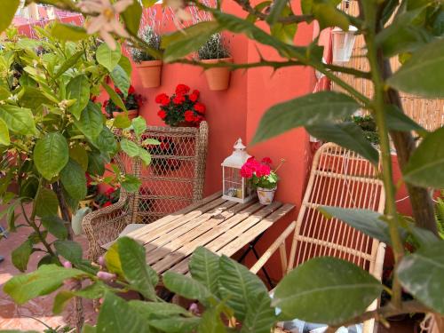 La Malva-rosa House | Studio beach