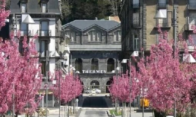 Mont-Dore Apartment | Studio close to all stores, in downtown with shuttle services to the slopes