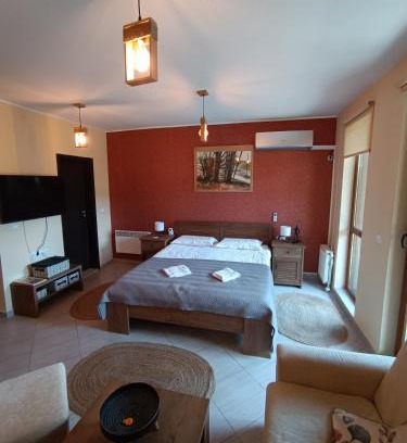Shiligarnika Apartment | Studio D06, Green Life Bansko