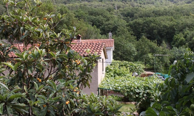 Merag Apartment | Studio flat with terrace Merag, Cres (AS-7877-a)