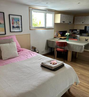 Saint-Jacques-de-la-Lande Apartment | Studio proche parc expo et aéroport