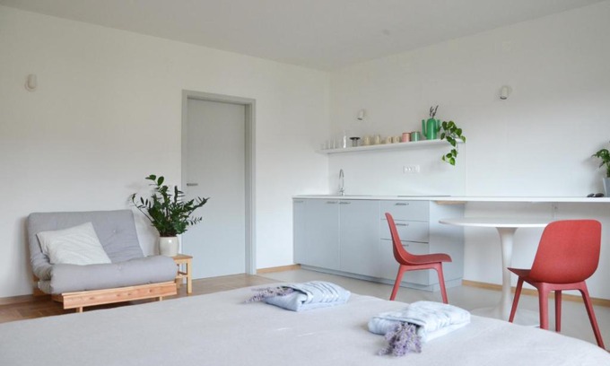 Tolmin Apartment | STUDIO GREENHOUSE