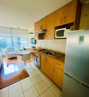 Lastarria Apartment | Studio in Lastarria - art, culture and gastronomy