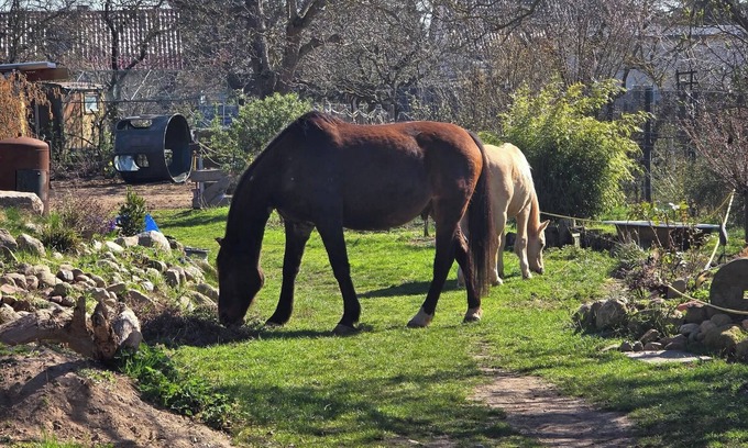 Niegripp Apartment | Studio 'Monteure, Remote Wohn' with Private Garden and Wi-Fi