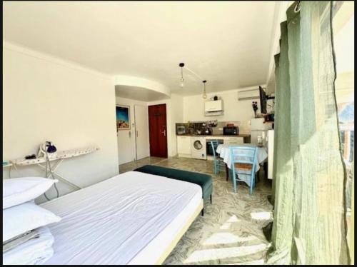 Pointe Croisette Apartment | Studio Palm Beach Cannes