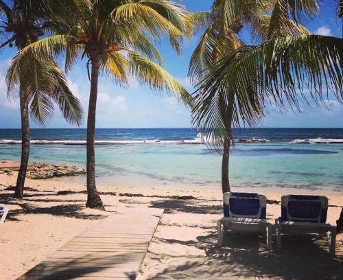Saint-Francois Apartment | Studio Tahiti vue Mer