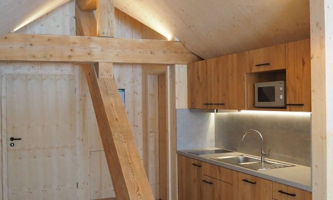 Schonach im Schwarzwald Apartment | Studio 'Wiederkehr' with Mountain View, Shared Terrace and Wi-Fi