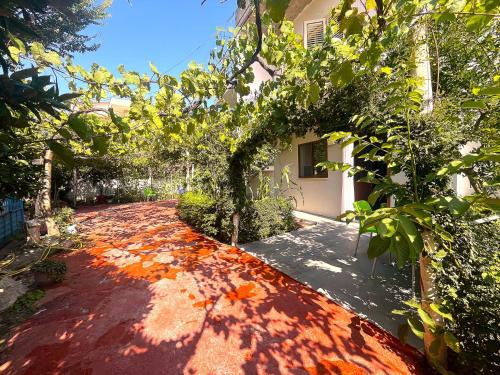 Vlore Apartment | Studios in Jonis House