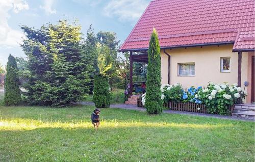 gmina Stezyca House | Stunning Home In Golubie With Wifi