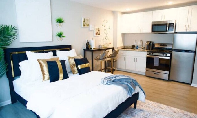 Takoma Apartment | Stylish Studio w/Free Parking/Close to Metro/Fast WIFI