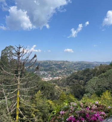 Campos do Jordao Bed & Breakfast | Suítes Panorama