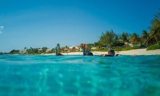 West Bay Apartment | Suite 4 Beach Shuttle Concierge Garden Cats