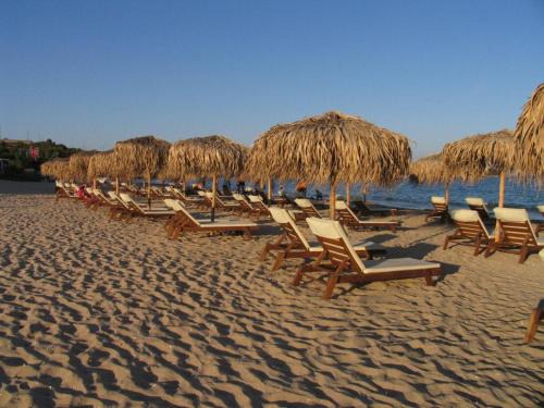 Chernomorets Apartment | Summer Host Apartment Paradise Garden