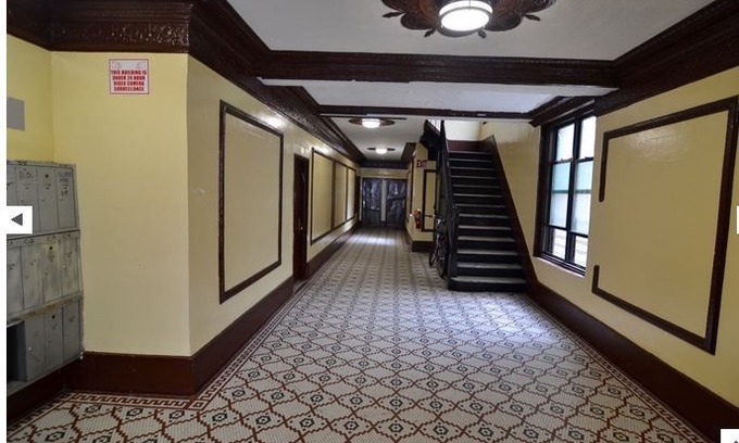 Crown Heights Apartment | SUNNY 3BR SUITE IN CROWN HEIGHTS
