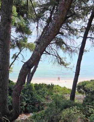Kriopigi Villa | Sunny Seaside Villa-90 m from beach