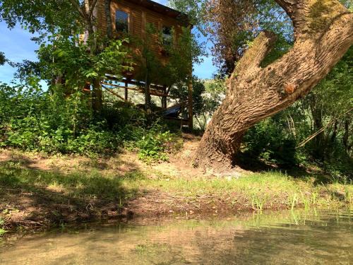 Mostar Other | Super cute Treehouse by the river