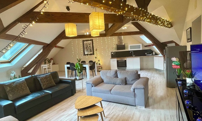 Montlucon Apartment | Superb furnished and equipped T3 decorated for the festive season