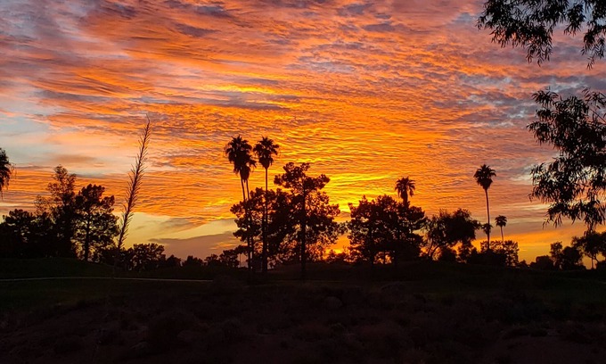 Superstition Lakes Condo | Superstition Lakes Condo on Golf Course - Large Patio with Hole #18 Views!