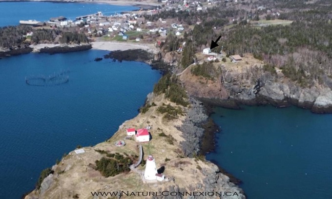North Head House | Swallowtail Lighthouse Overlook on Grand Manan - 4 bedrooms available