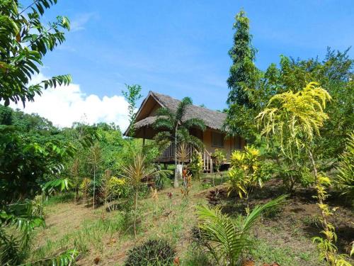 San Pedro House | Sweet native Guesthouse in Paradise Garden