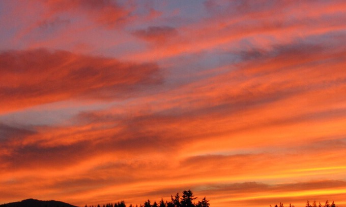 Mill Bay House | Sylvan Meadows Suite - Amazing Rural Views in the heart of Cowichan Valley