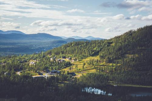 Tannas Cabin | Tännäskröket