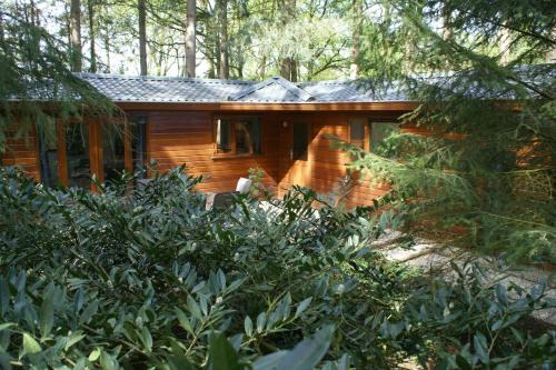 Krachtighuizen Ski Chalet | t'Bakkersboschje nummer 8