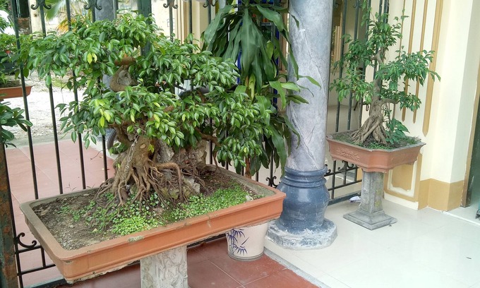 Thanh Hoa Hotel | Tai Hoa Motel