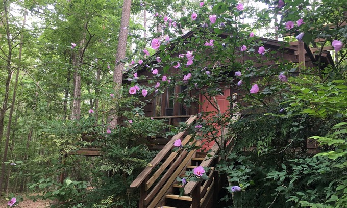 Broken Bow Cottage | Tale of the trout cabin located 1 mile from the trout stream and Lake