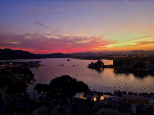 Udaipur City Centre Hostel | Tamasha Udaipur