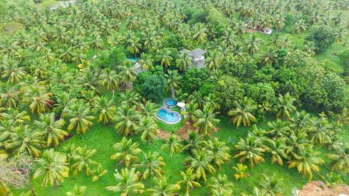 Tangalle Resort | Tangalle Serenity Bungalow