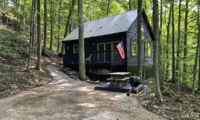 Slade Cabin | Tanzanite- The "GEM" with a Hot Tub & WiFi!