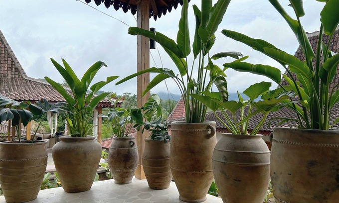 Sidemen Resort | Tebola Village Resort Managed by CPM