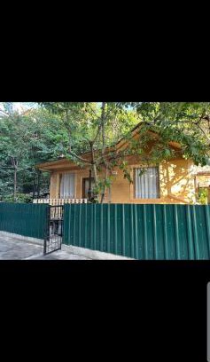 Akhali Ubani Cabin | Temos cottage