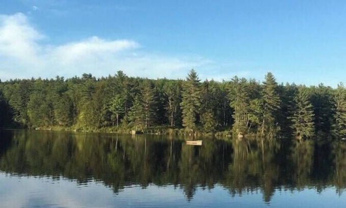 Warner RV Rental | Tentrr Signature Site - Bagley Pond Waterside