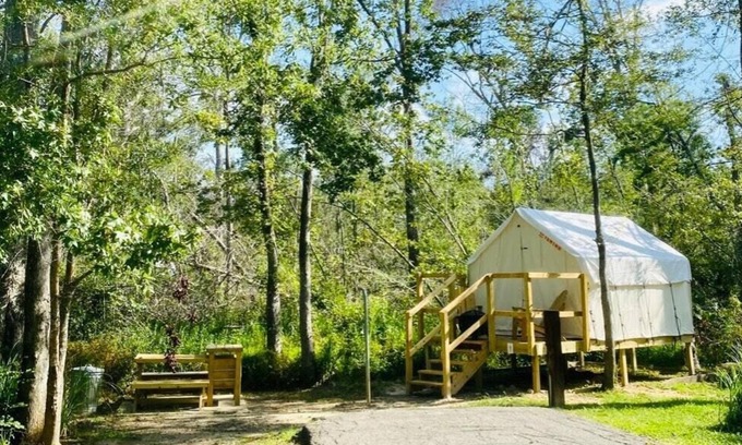 Springfield RV Rental | Tentrr State Park Site - Louisiana Tickfaw State Park - Woodland C - Single Camp