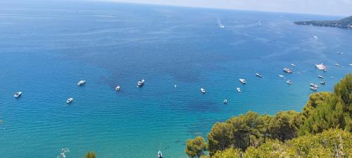 Montecorice House | Tenuta Belvedere Cilento