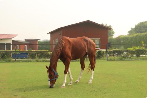 Vrindavan Bed & Breakfast | The Bageecha