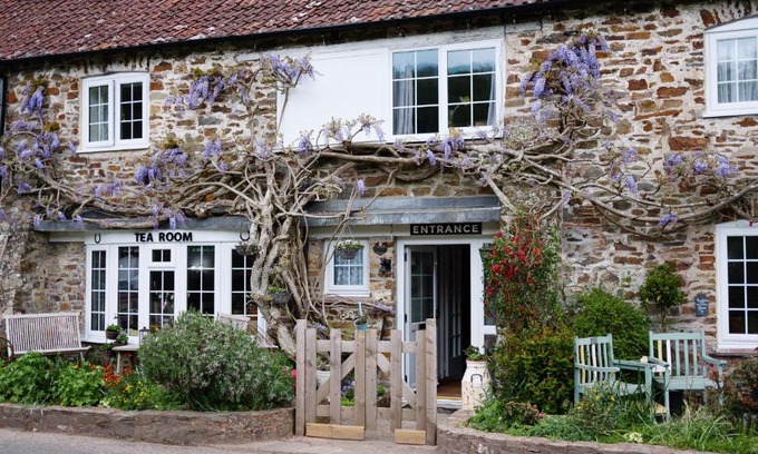 Oakfordbridge Bed & Breakfast | The Bark House