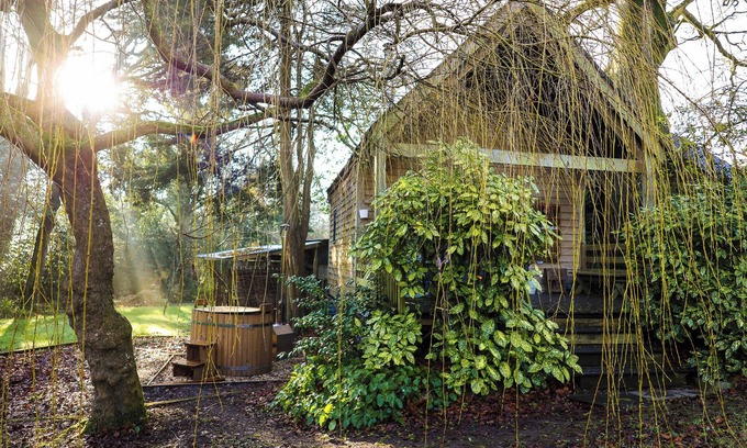Saint Kew Cabin | The Beech Hut, A Romantic Wooden Cottage for 2, near Port Isaac