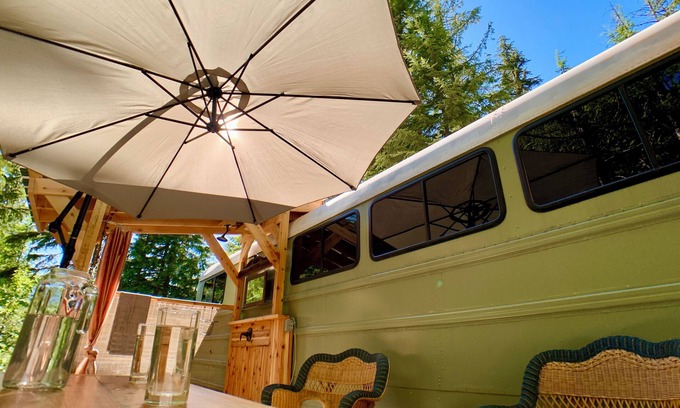 Gray Creek Cottage | The Bus Stop .in a remote, private & tranquil forest