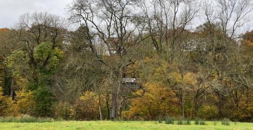 Rock Other | The cabin at Abberley Glamping