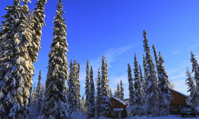 Fairbanks House | The Cabin in the Woods 2 森林小屋 2