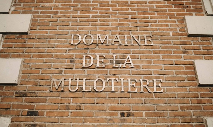 Langeais Other | The Château and its Orangery