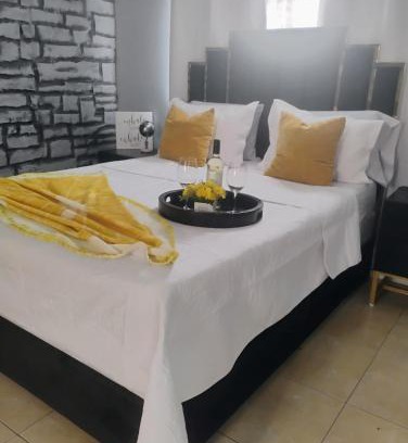 Town N County Park Apartment | The Citrus Guesthouse in Tampa