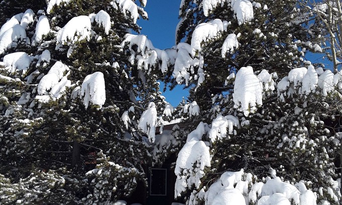 West Yellowstone House | The Firehole Cabin 418, 6 Bedrooms 4 Baths 2 Minutes from Yellowstone