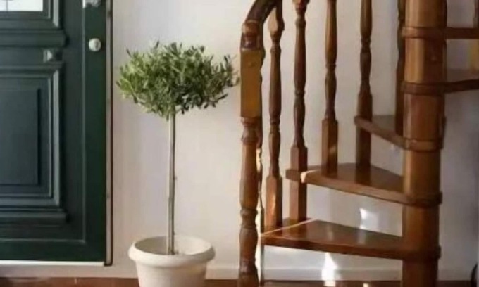 Achilleio House | The Gastouri House by Achilleion Palace - central