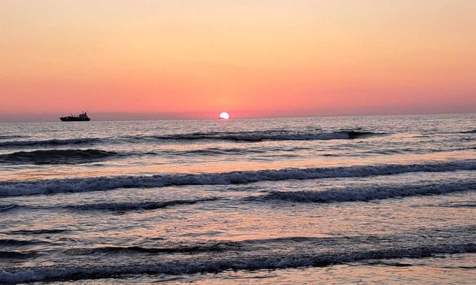 Ardea House | "The Hawthorn Pitchers" Apartments